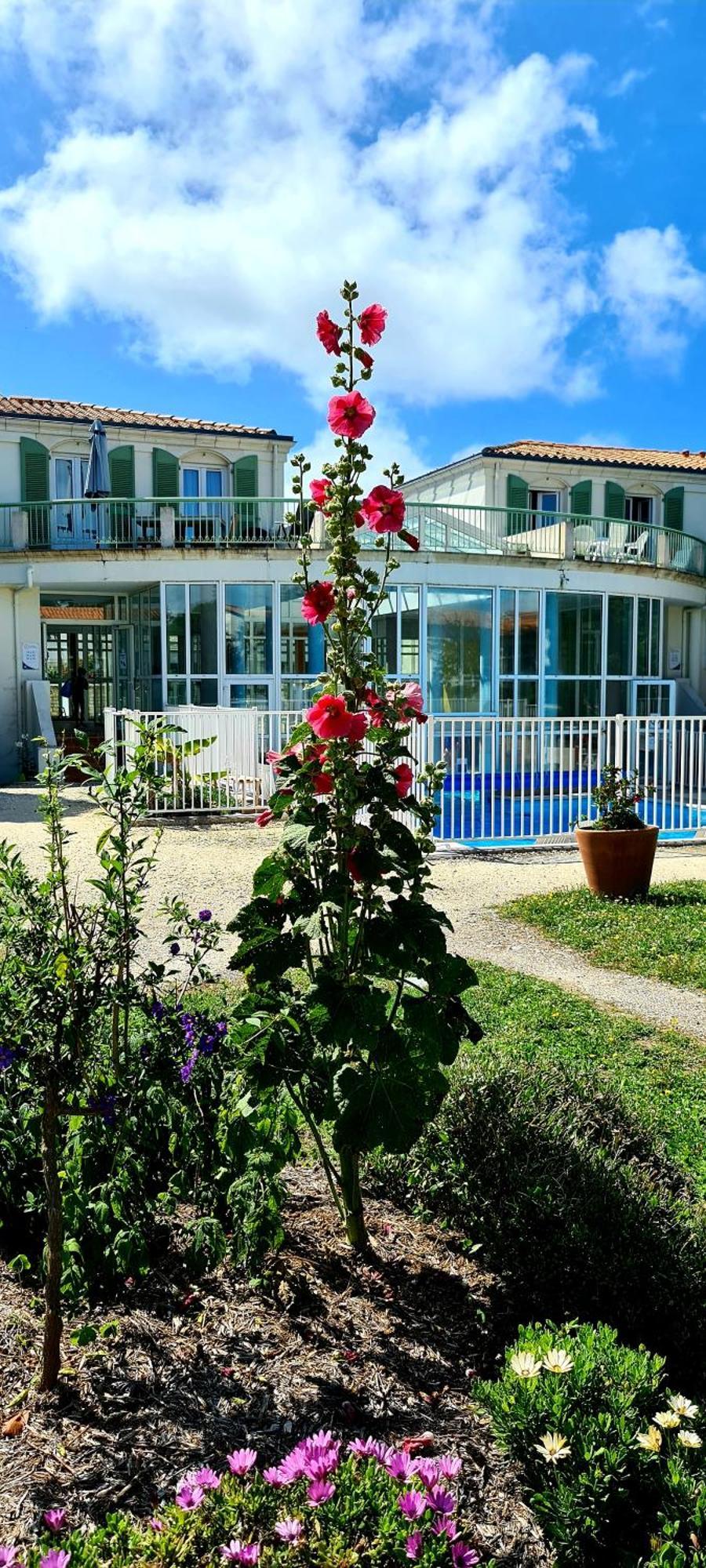 Appartement 91 Palais Des Gouverneurs Saint-Martin-de-Ré Екстериор снимка