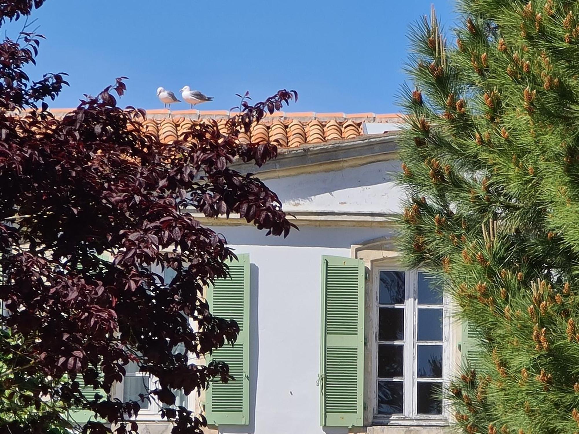 Appartement 91 Palais Des Gouverneurs Saint-Martin-de-Ré Екстериор снимка